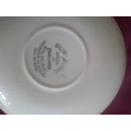 Dainty Ceramic Cup & Saucer