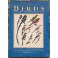 BIRDS OF SOUTHERN AFRICA **Hayman, Arlott & Tarboton**