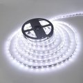 LED Strip Lights 12V Dustproof Waterproof SMD3528 Cool White 5-metre Rolls. Collections Are Allowed.