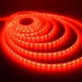 LED Strip Lights 12V Waterproof Dustproof SMD3528 RED Colour 5-metre Rolls. Collections Are Allowed.