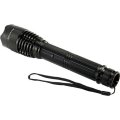 Rechargeable LED Flashlight Torch & Electric Shock Stun Gun. Collections are allowed.