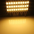 LED Light Modules: Waterproof Injection Moulded with Lens in Warm White. Collections allowed