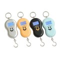 Battery Operated Hanging Luggage / Fish Portable Digital Weight Scale.  Collections are allowed.