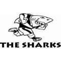 Sharks Rugby Flat Barrel Liquor Dispensers with 4 Sets of Optics. Brand New. Collections Are Allowed