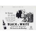 Ice Buckets: Black and White Scotch Whiskey. Brand New Products. Collections are allowed.