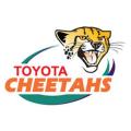 CHEETAHS RUGBY DOUBLE SHOOTER GLASSES GIFT SET. Collections are allowed.