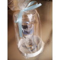 Blue Bulls Rugby Flared Pilsener Glass and Ceramic Ashtray Gift Pack. Collections Are Allowed.