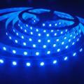 LED Strips Lights 12Volts Non-Waterproof SMD5050 BLUE Colour 5-metre Rolls. Collections Are Allowed.