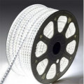 LED Strip Lights: Cool White 220V Complete With Connector Plug + End Cap. Collections are allowed.