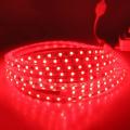 LED Strip Lights: Red 220V Complete With Connector Plug + End Cap. Collections are allowed.