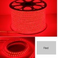LED Strip Lights: Red 220V Complete With Connector Plug + End Cap. Collections are allowed.
