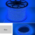 LED Strip Lights: Blue 220V Complete With Connector Plug + End Cap. Collections are allowed.