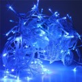 Blue Light Colour LED Decorative Fairy String Lights Waterproof 220V AC. Collections Are Allowed.