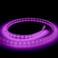 LED Strip Lights: PURPLE/VIOLET 220V Complete With Connector Plug + End Cap. Collections are allowed