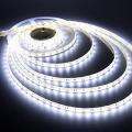 LED Strip Lights 12V Waterproof Dustproof SMD3528 Cool White 5-metre Rolls. Collections Are Allowed.