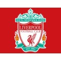 Ice Buckets: LIVERPOOL FOOTBALL CLUB. Brand New Products. Collections are allowed.
