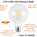 FILAMENT Vintage G95 Design Light Bulbs. Collections Are Allowed.