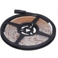 LED Strip Lights 5 Metres 12V Waterproof Dustproof in Orange Light Colour. Collections Are Allowed.