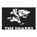 Sharks Rugby Ice Buckets. Brand New Products. Collections Are Allowed.