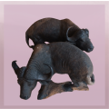 2 Buffalo`s Carved from wood