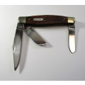 Large `Maple` bone stockman knife