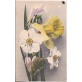 Vintage Postcard - Flowers