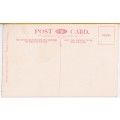 Vintage Post Card - Queenstown from Bowker`s Kop, C.P. (Printed in Germany.)