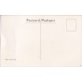 Vintage Post Card -- SAA Post Card / Menu