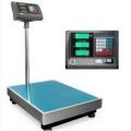 300kg Foldable Industrial Weighing and Price Computing Scale