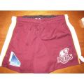 Reds Rugby Shorts