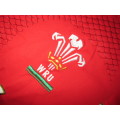 Wales Rugby Jersey 2009