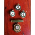 Collection of SA Legion Badges