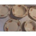MIX SET OF 9 - Ivory ware & Royal ware -John Maddock & Sons (made in England )