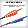 12 PACK 6.2 MM CARBON HUNTING ARROWS WITH TURKISH FEATHER