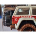 Hot Wheels `95 Jeep Cherokee Regular Treasure Hunt
