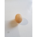 Small Stone Egg As Per Pic