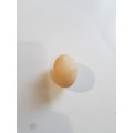 Small Stone Egg As Per Pic