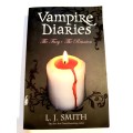 Vampire Diaries, The Fury The Reunion by L.J. Smith
