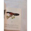 Some Protected Birds of the Cape Province, English/Afrikaans, 1957