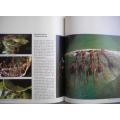 TIME-LIFE - Borneo - [The World`s Wild Places] - (Excellent Hardcover)