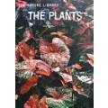 Life Nature Library - The Plants - (Hardcover)