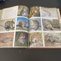 Life Nature Library - The Land and Wildlife of Austalasia - (Hardcover)