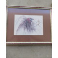 Set of 2 stunning pencil drawings from 1992. Lappet faced Vulture and Pel`s Fishing Owl. As new.