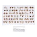 36  piece gold or silver earring set!!