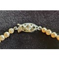 ANTIQUE FAUX SINGLE STRING PEARL BEADED NECKLACE WITH ORNATE CLASP.