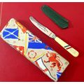 1937 CORONATION KING GEORGE V1 SOUVENIR BUTTER KNIFE. EXCEPTIONAL !! IN BOX AND SLEAVE!!