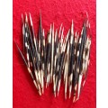 50 X PORCUPINE QUILLS .IDEAL FOR  Jewelry - Crafting - Art- Pens - ETC !! BID PER QUILL.