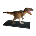 Animal Anatomy: T-Rex