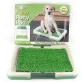 PUPPY POTTY TRAINING PAD *CHEAPEST SHIPPING OUT OF ALL SELLERS*