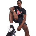 NIKE Men's NBA Chicago Bulls Fanwear Logo Tee Shirt Black BV8103 010 Size XL